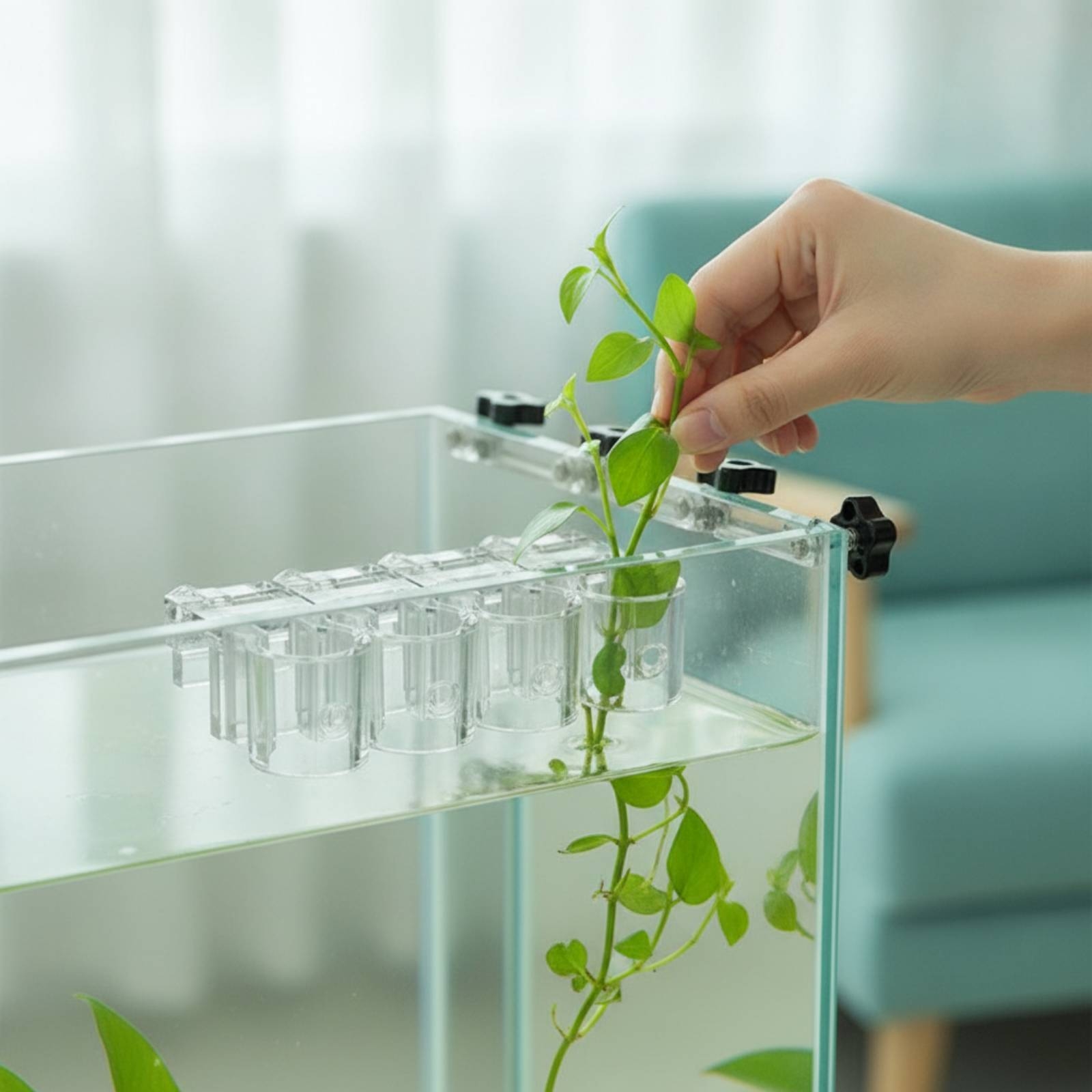 Aquarium Planted - 6 قطع مشبك دعم شفاف للزراعة