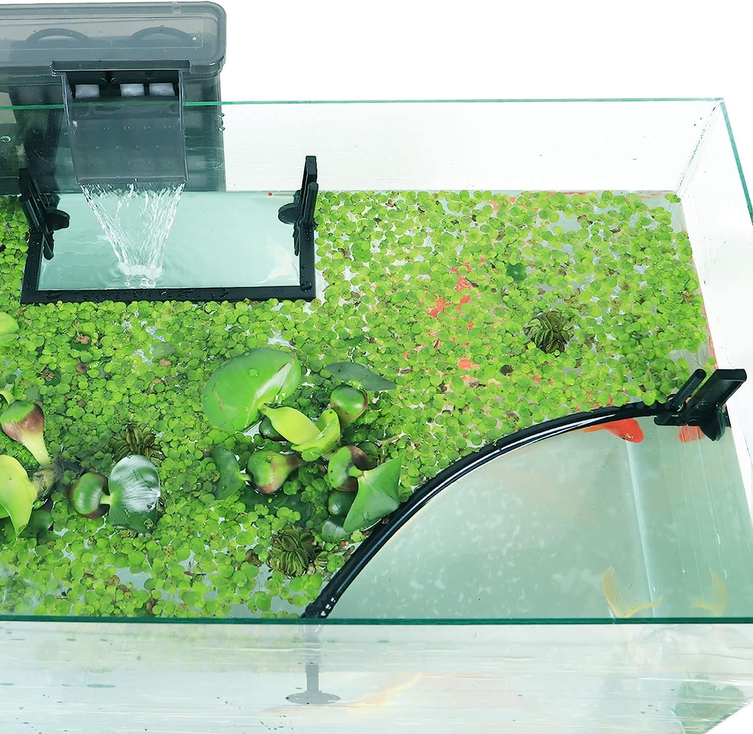 Planted Aquarium Heater - زريبة نباتات عائمة لحوض السمك ،