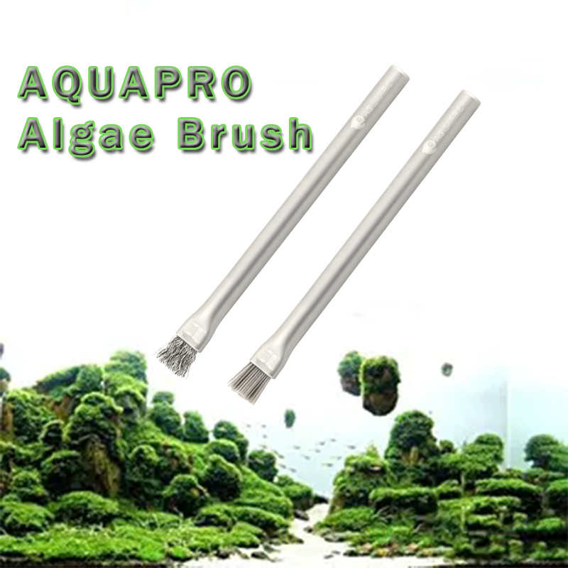 Planted Aquarium Ada - فرشاة Aquapro Algae ملحقات حوض السمك