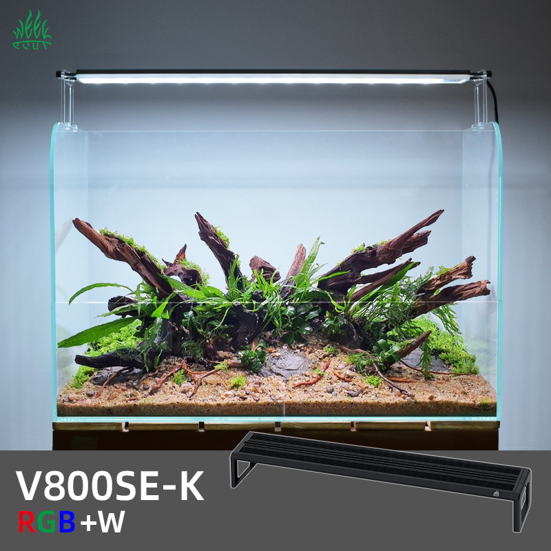 Planted Aquarium Ada - ZXY أسبوع ADA نفس نوع المياه