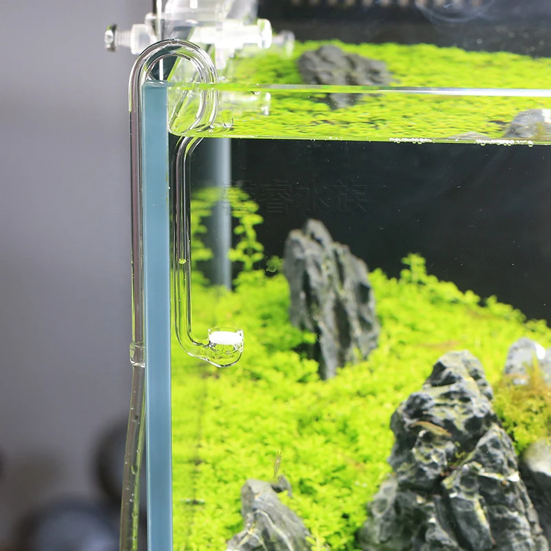 Planted Aquarium Ada - VIV BETTER LIFE CO2 نظام الناشر