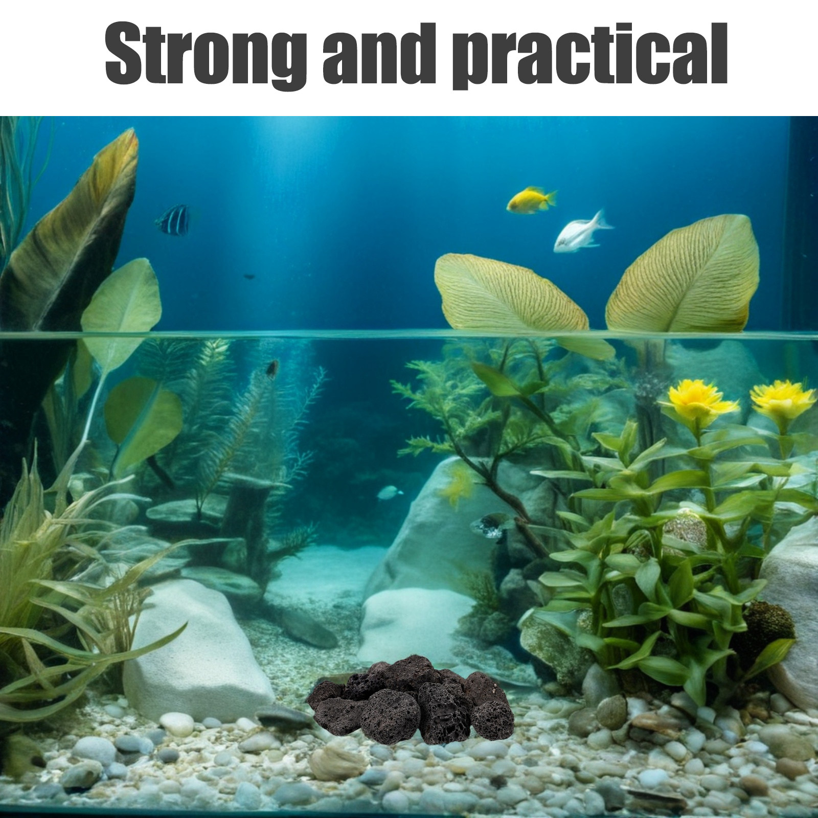 Aquarium Planted - عبوة واحدة من الصخور البركانية للزينة