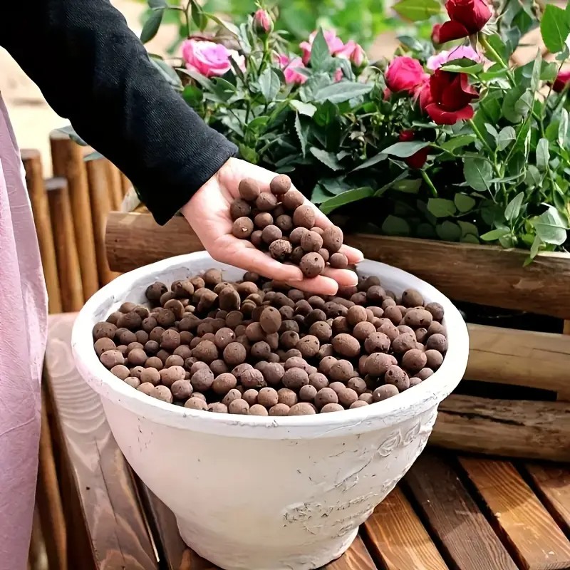 حبيبات تيراكوتا خفيفة الوزن وج - مراجعة Aquarium Planted وسعره