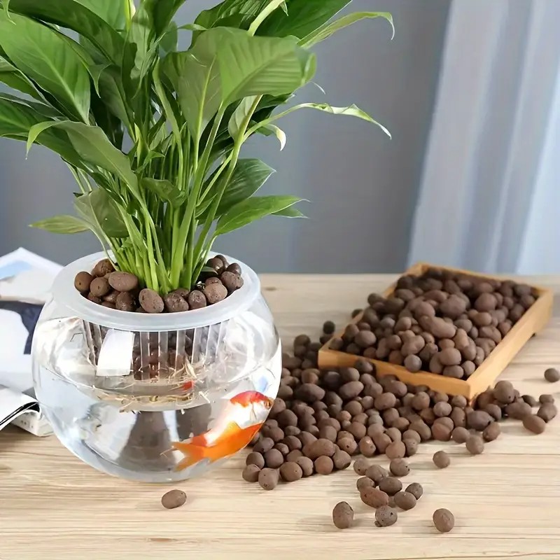 حبيبات تيراكوتا خفيفة الوزن وج - مراجعة Aquarium Planted وسعره