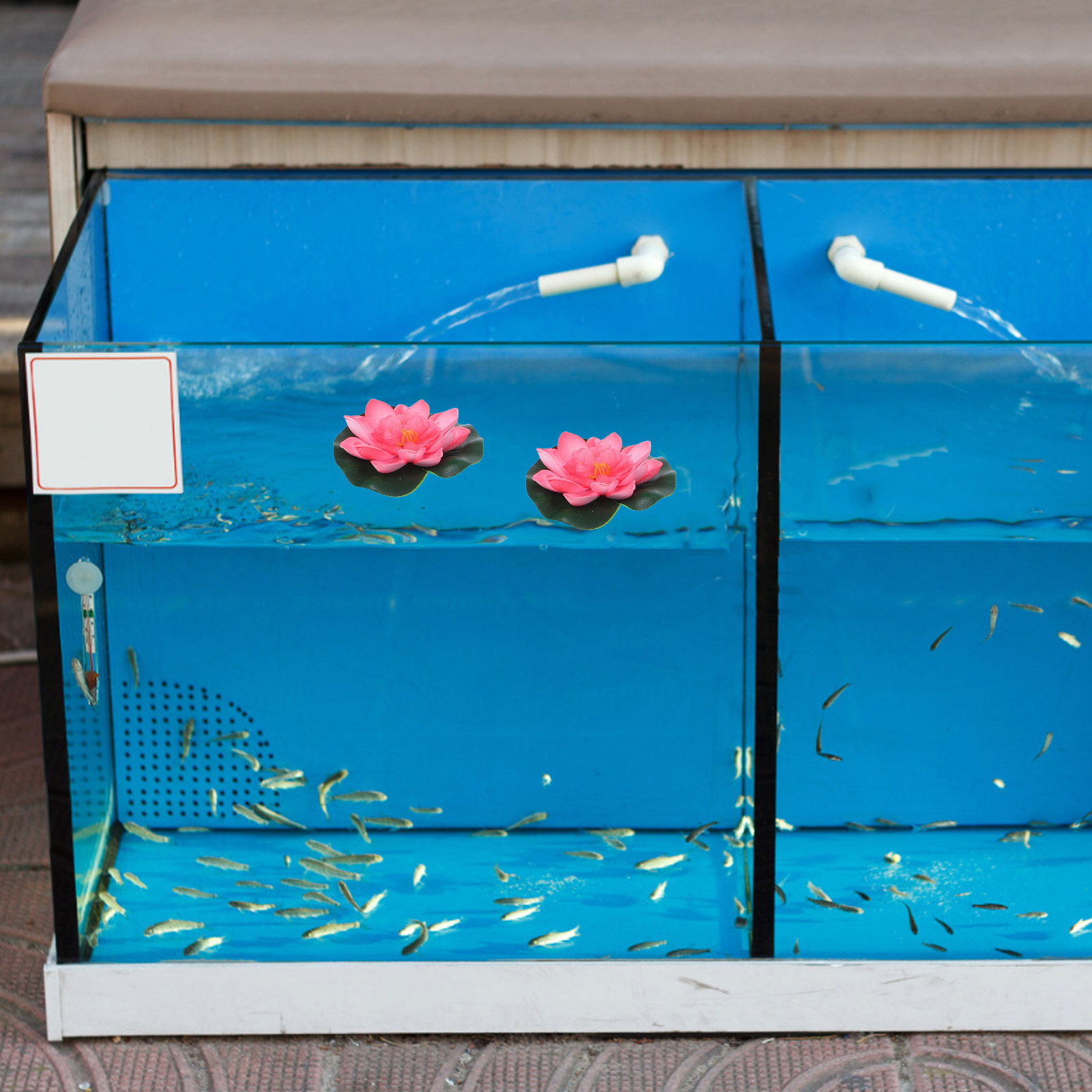 12 قطعة من زهور اللوتس الاصطنا - مراجعة Aquarium Planted وسعره