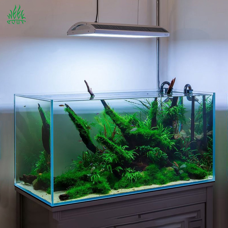 مصباح LED للأحواض المائية من و - مراجعة Planted Aquarium Uv Light وسعره