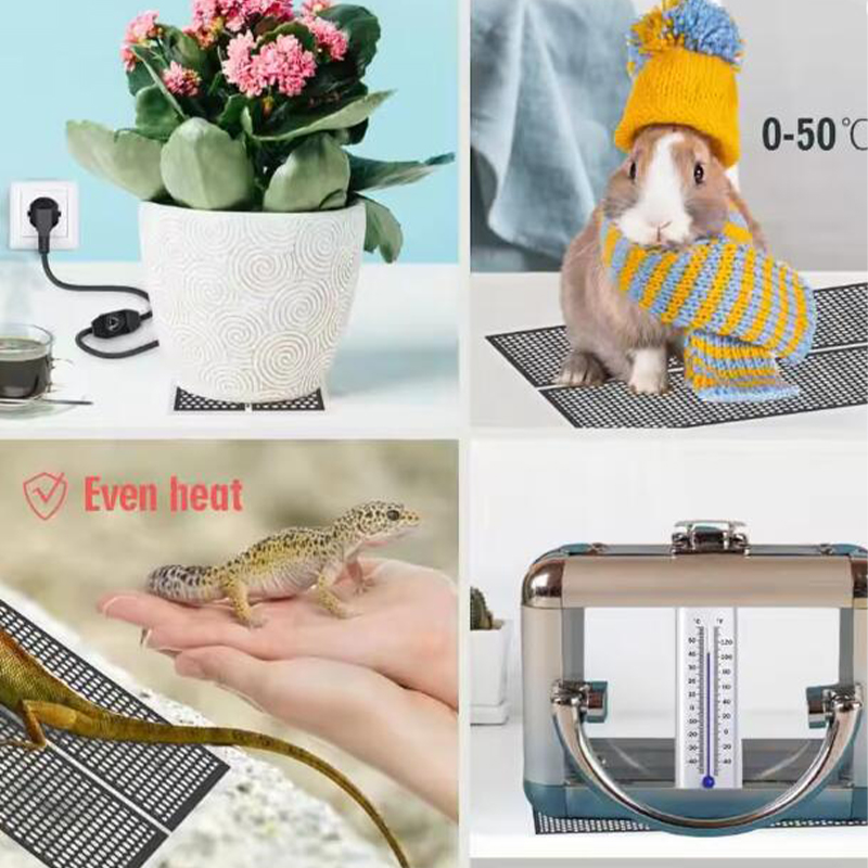5-20 واط الزواحف الحرارة حصيرة - مراجعة Planted Aquarium Heater وسعره