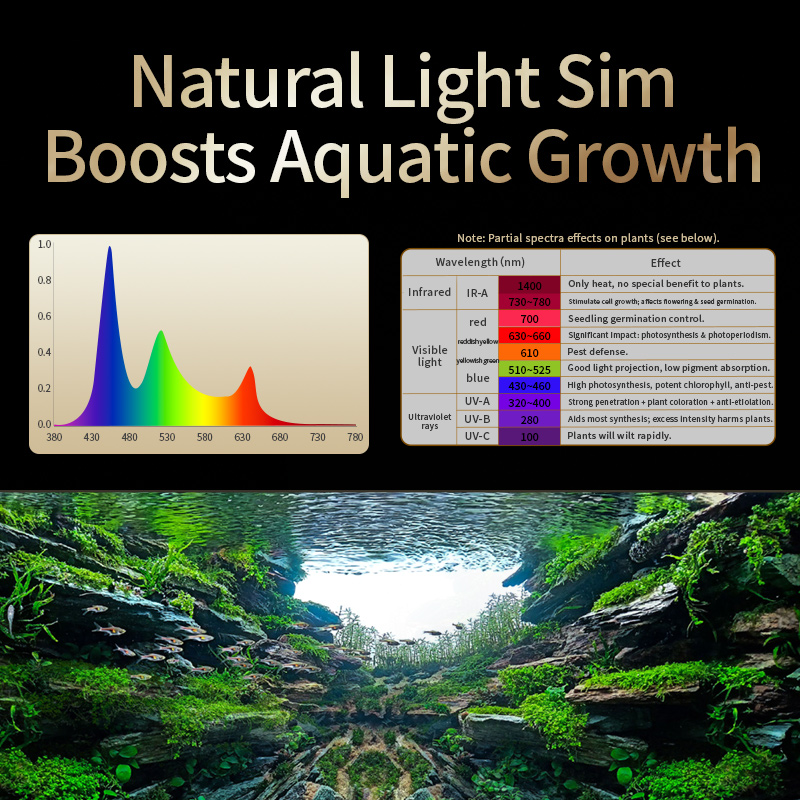مصباح نمو نباتات المياه الطبيع - مراجعة Planted Aquarium Uv Light وسعره