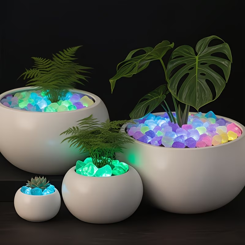 مجموعة 300 قطعة من الحصى المضي - مراجعة Aquarium Planted وسعره