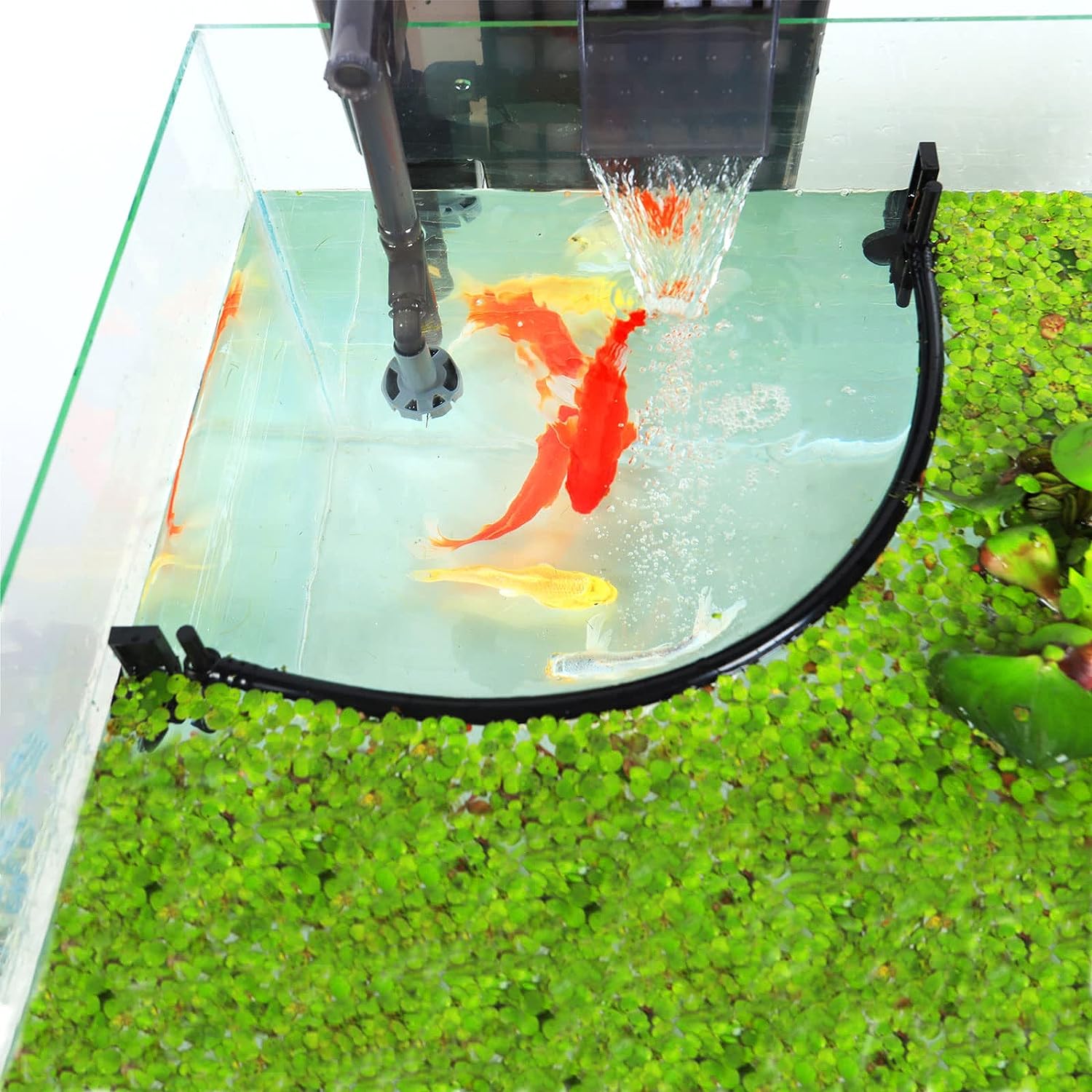 زريبة نباتات عائمة لحوض السمك  - مراجعة Planted Aquarium Heater وسعره