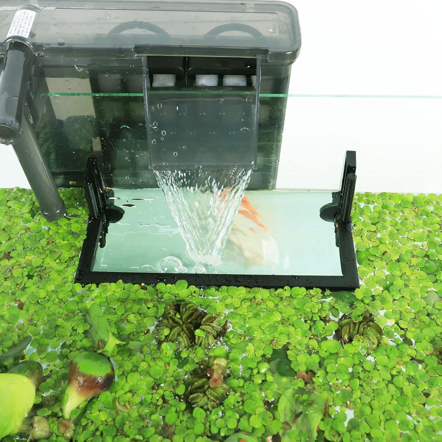 زريبة نباتات عائمة لحوض السمك  - مراجعة Planted Aquarium Heater وسعره
