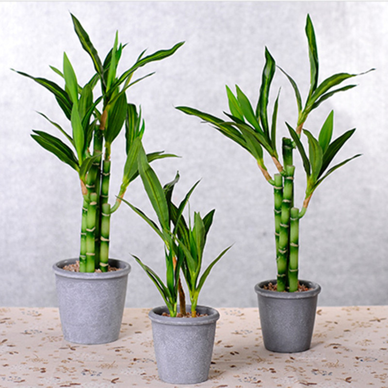 جديد 40 سنتيمتر rFtificial محظ - مراجعة Aquarium Plant Display وسعره