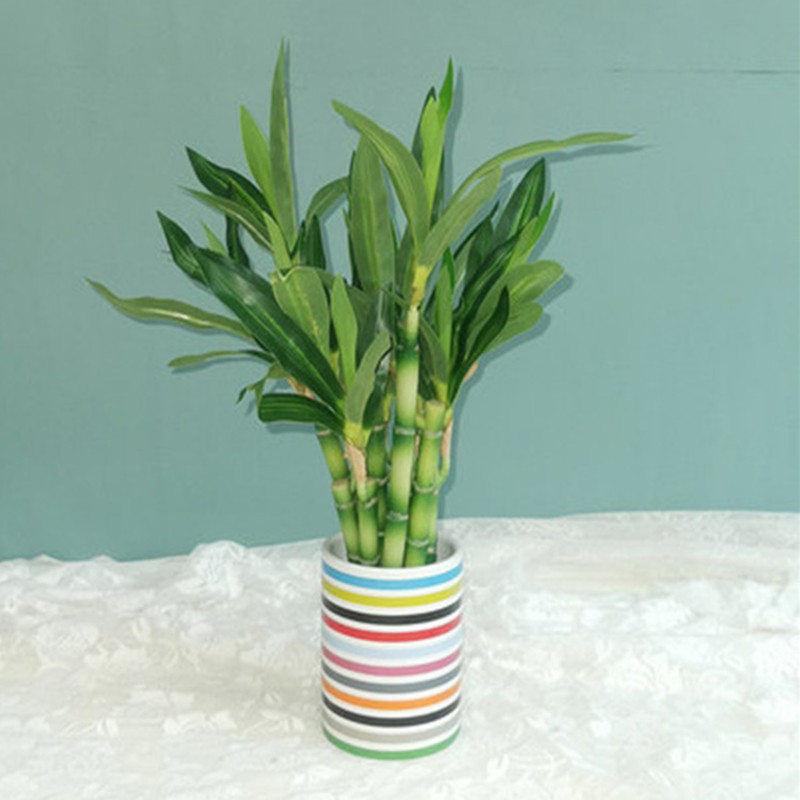 جديد 40 سنتيمتر rFtificial محظ - مراجعة Aquarium Plant Display وسعره
