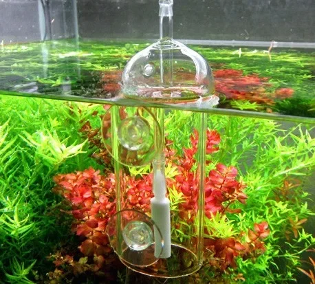 VIV Do جهاز حوض السمك اسطوانة  - مراجعة Planted Aquarium Supplies وسعره