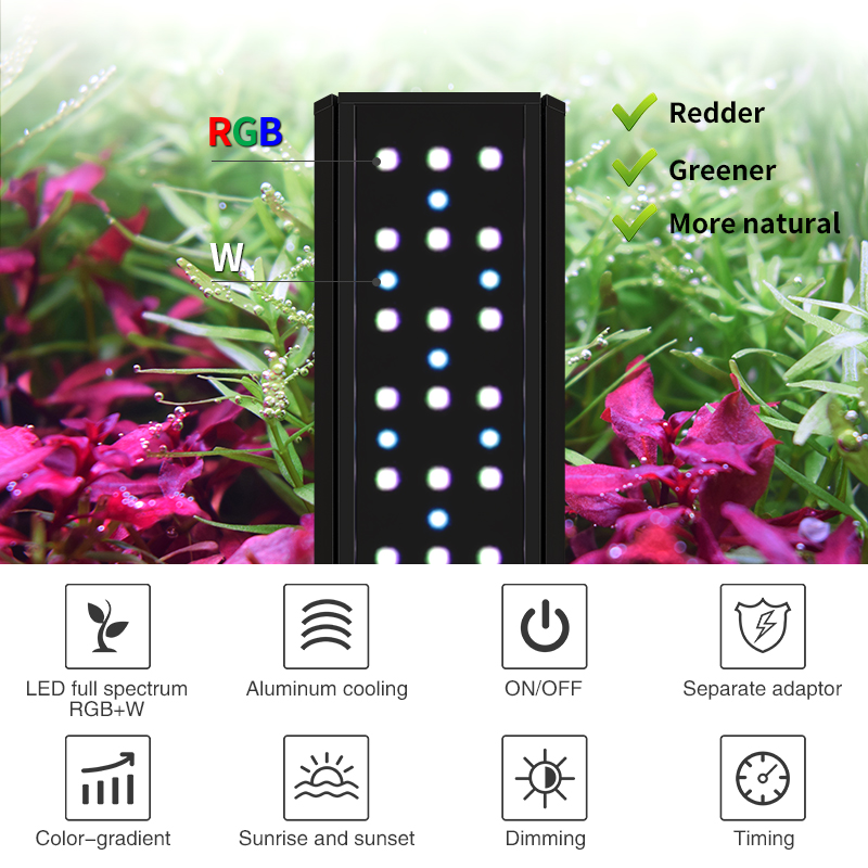 ZXY أسبوع ADA نفس نوع المياه ا - مراجعة Planted Aquarium Ada وسعره