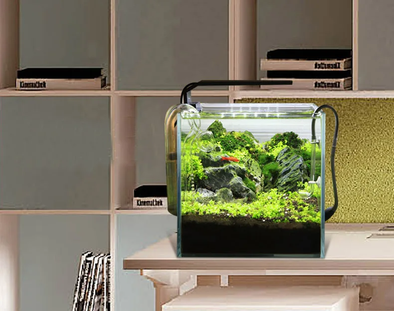 Chihiros C Series ADA Style Pl - مراجعة Planted Aquarium Ada وسعره