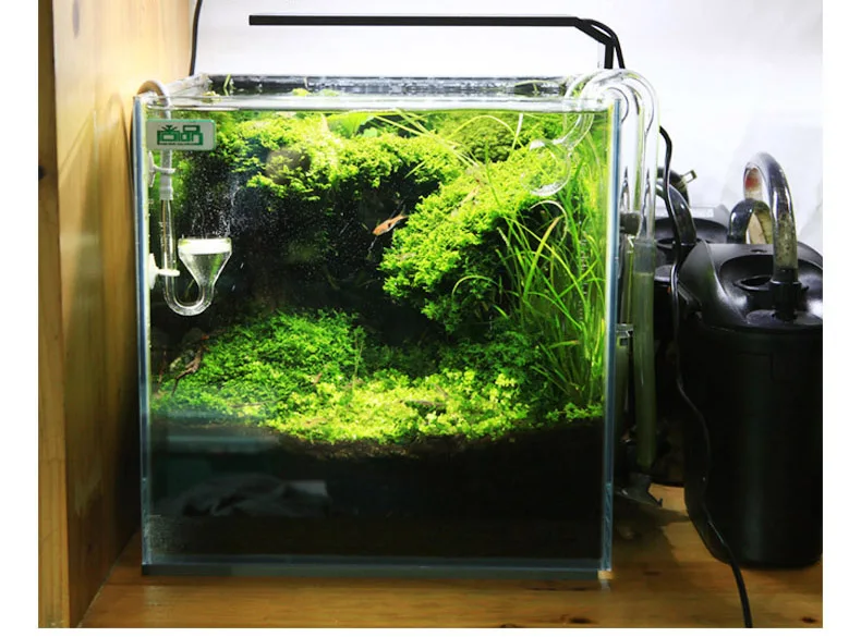 Chihiros C Series ADA Style Pl - مراجعة Planted Aquarium Ada وسعره