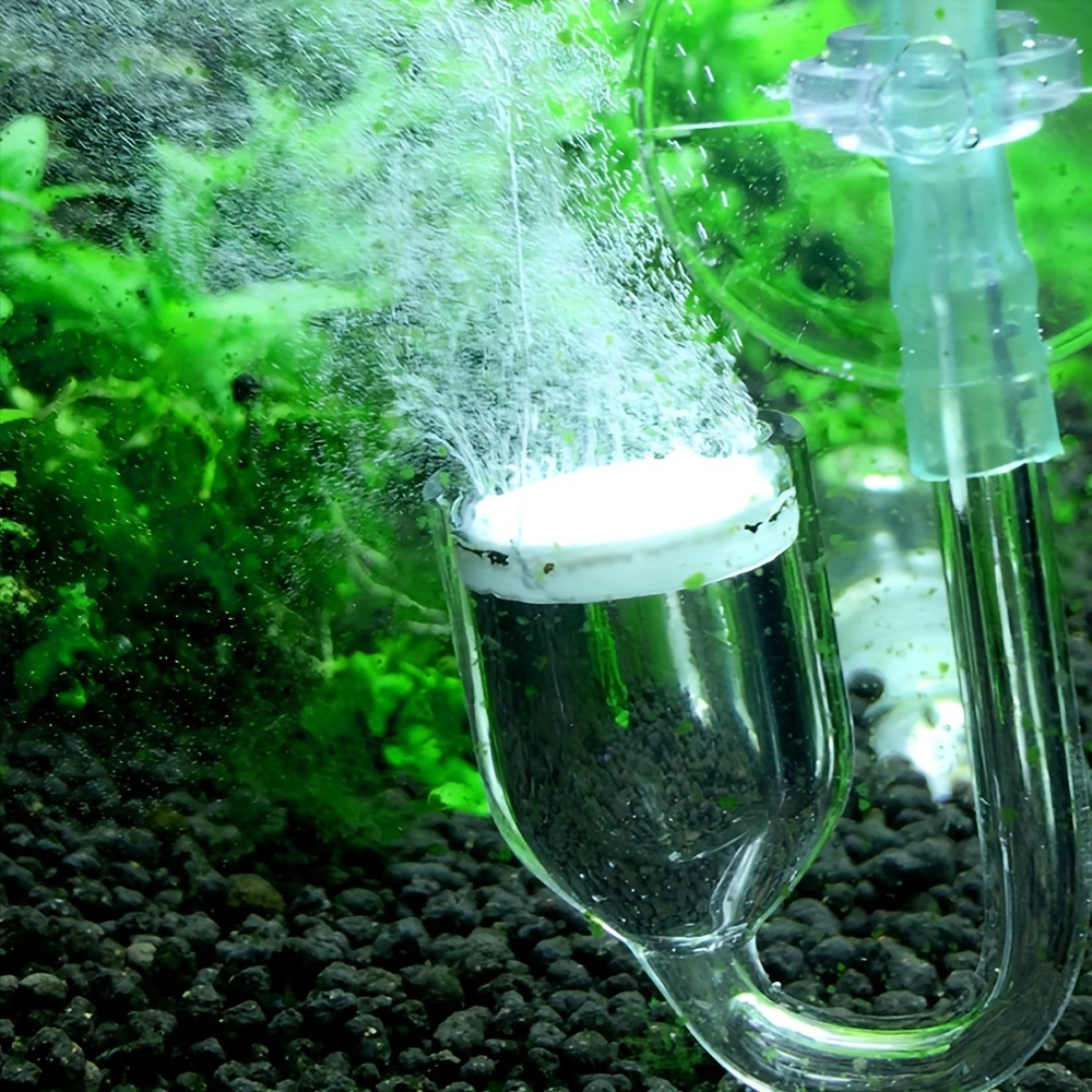 حوض السمك الزجاج CO2 البخاخة ا - مراجعة Planted Aquarium Co2 وسعره