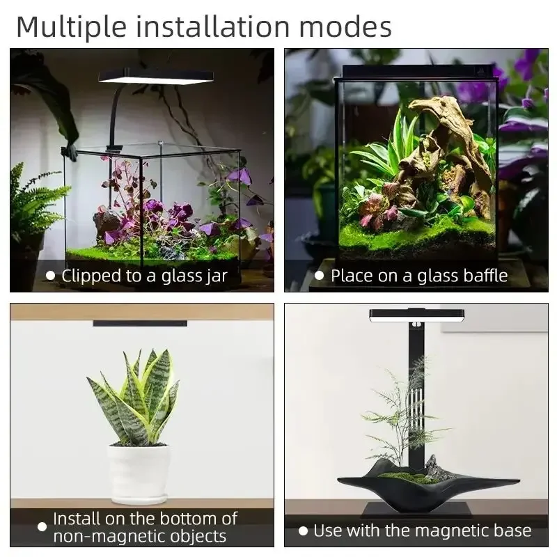 مصباح حوض السمك WEEK AQUA Mag  - مراجعة Aquarium Plant Display وسعره