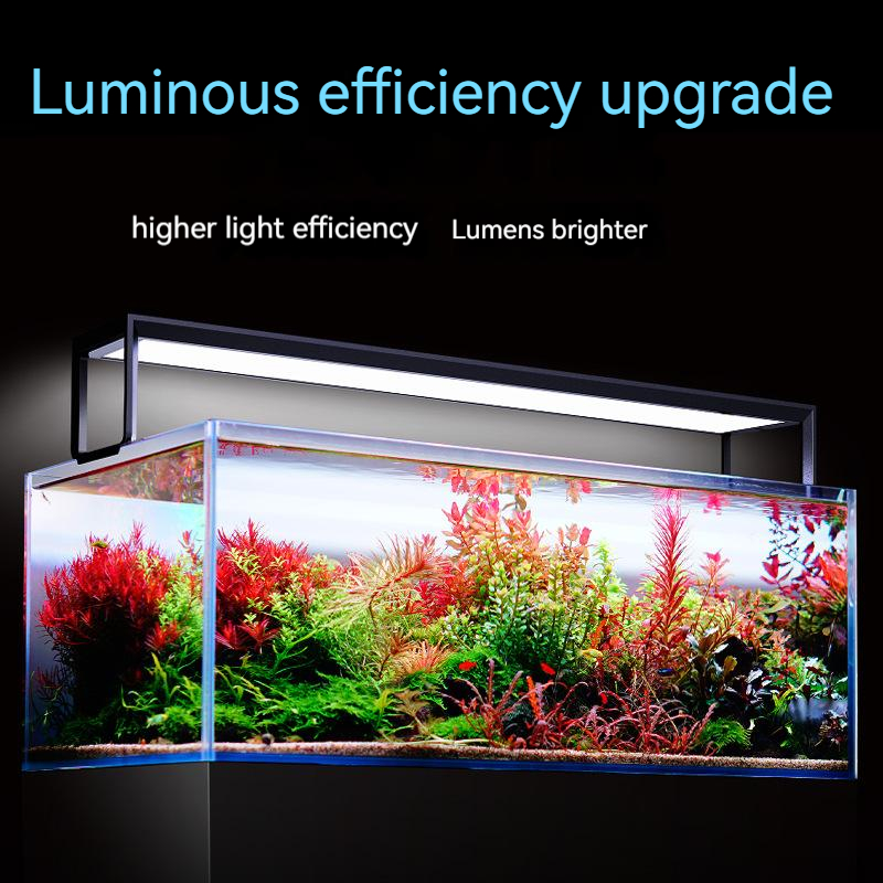 NETLEA 540S/590S حوض السمك الط - مراجعة Aquarium Plant Display وسعره