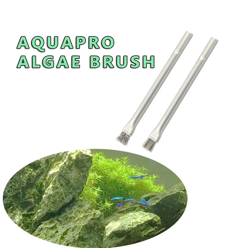 Aquapro الطحالب فرشاة تنظيف فر - مراجعة Planted Aquarium Ada وسعره