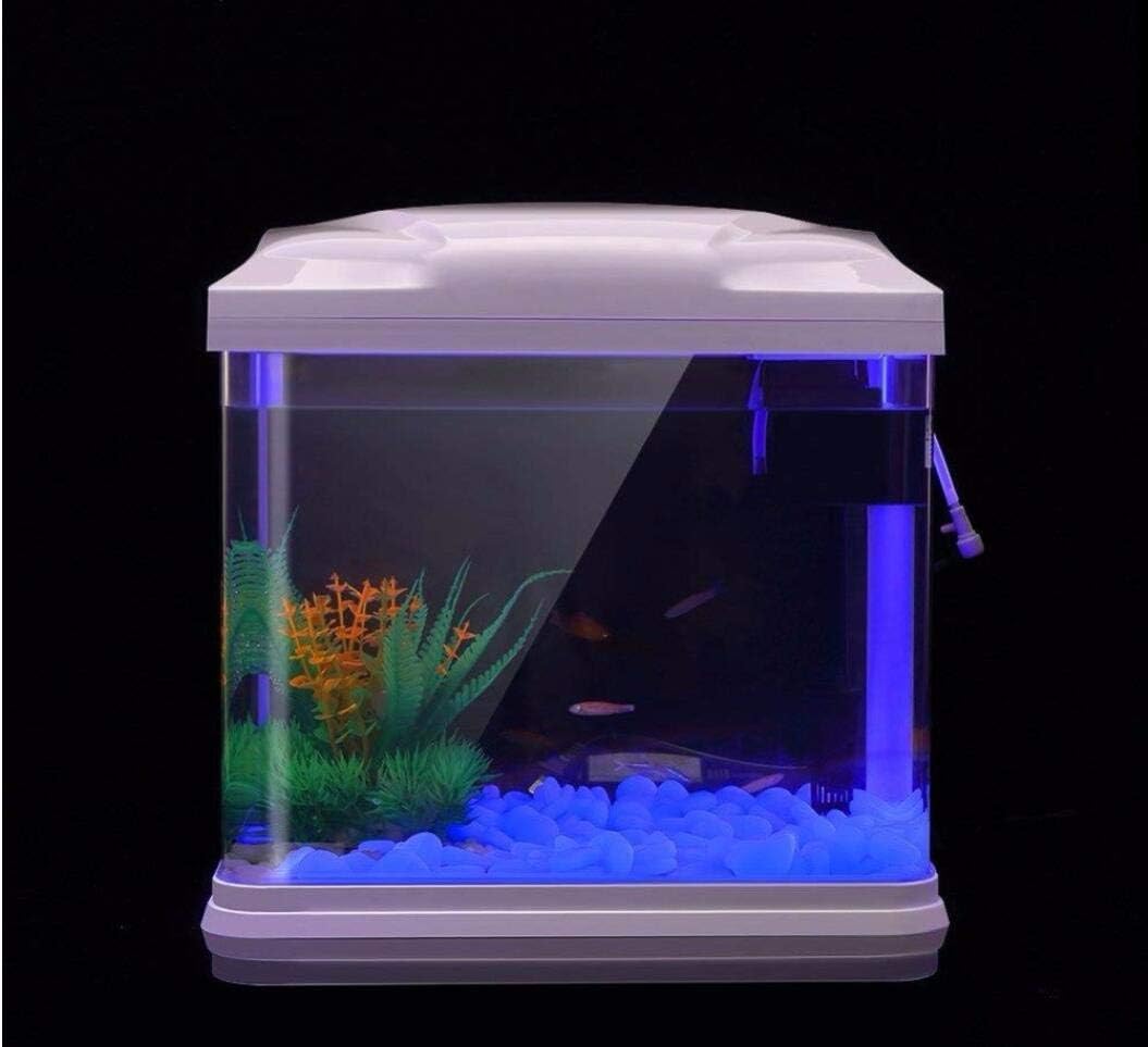 حوض السمك الصخور توهج الحصى ال - مراجعة Aquarium Planted وسعره