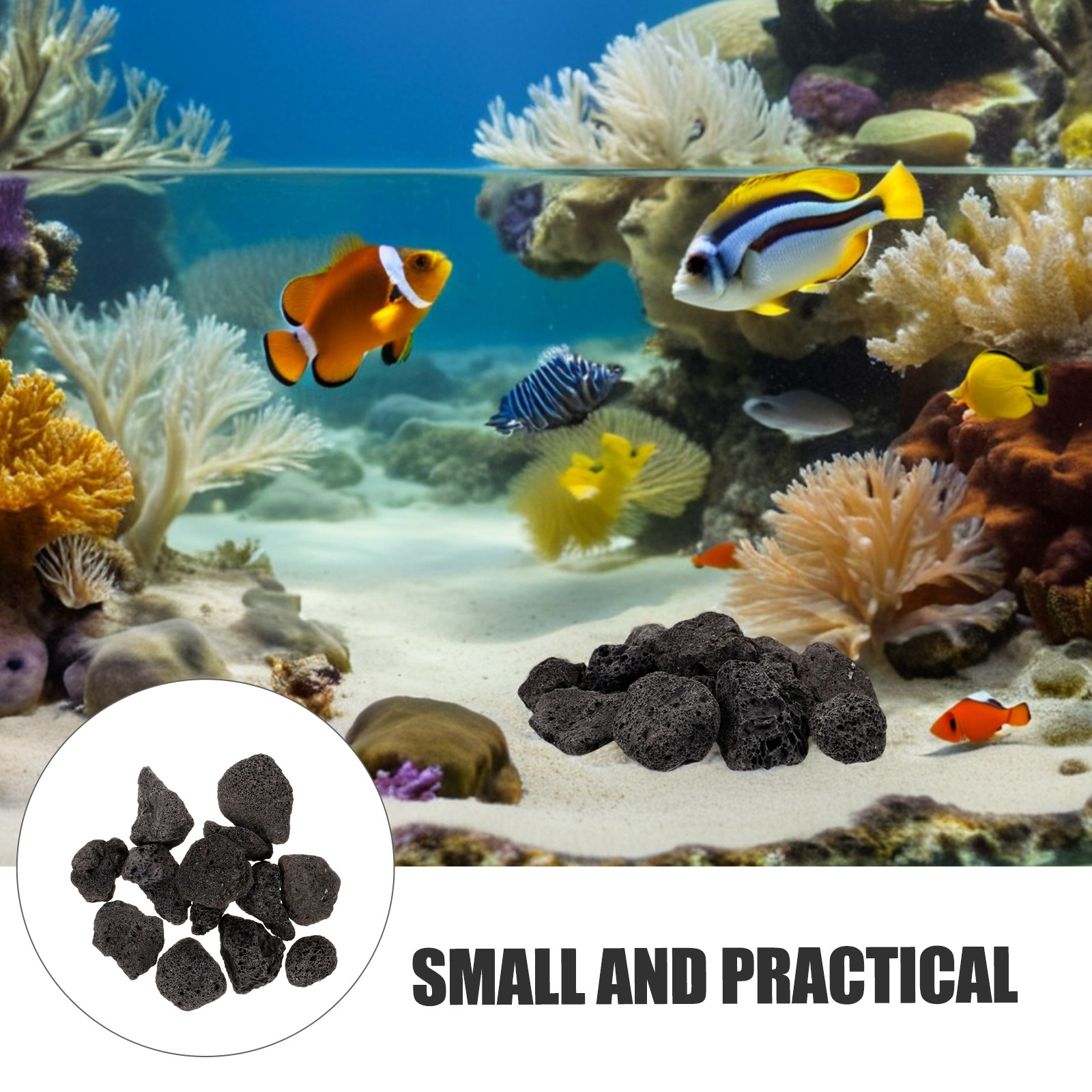 عبوة واحدة من الصخور البركانية - مراجعة Aquarium Planted وسعره