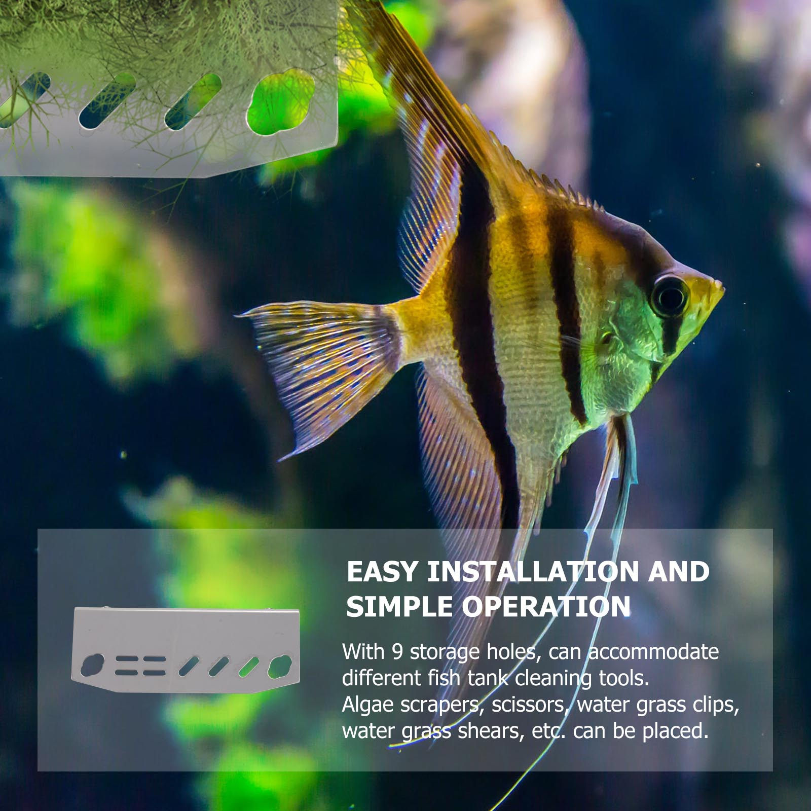 1 قطعة حامل أدوات حوض السمك من - مراجعة Planted Aquarium Supplies وسعره
