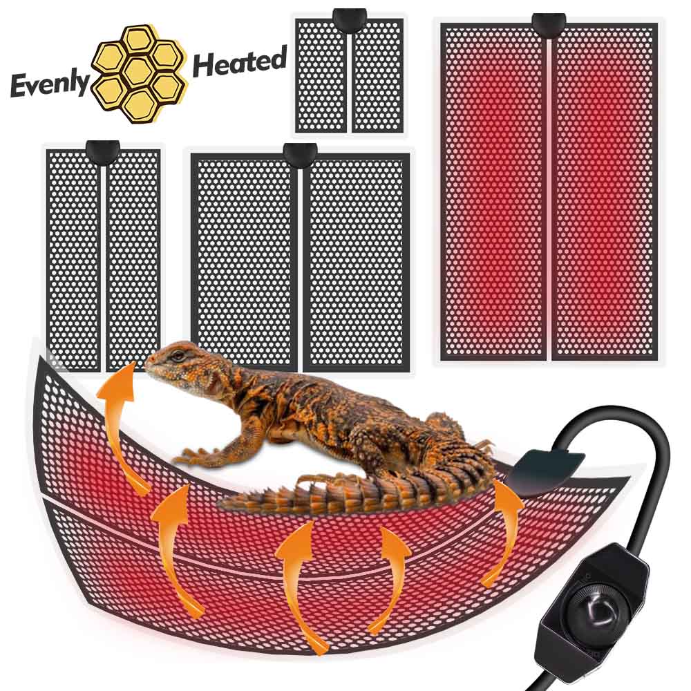 حصيرة الحرارة الزواحف مع التحك - مراجعة Planted Aquarium Heater وسعره