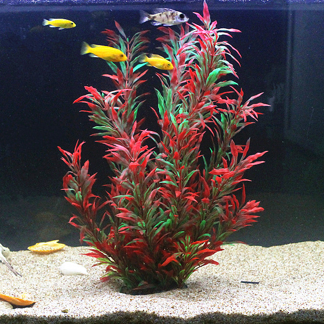 نباتات اصطناعية نادرة لأحواض ا - مراجعة Aquarium Plant Display وسعره