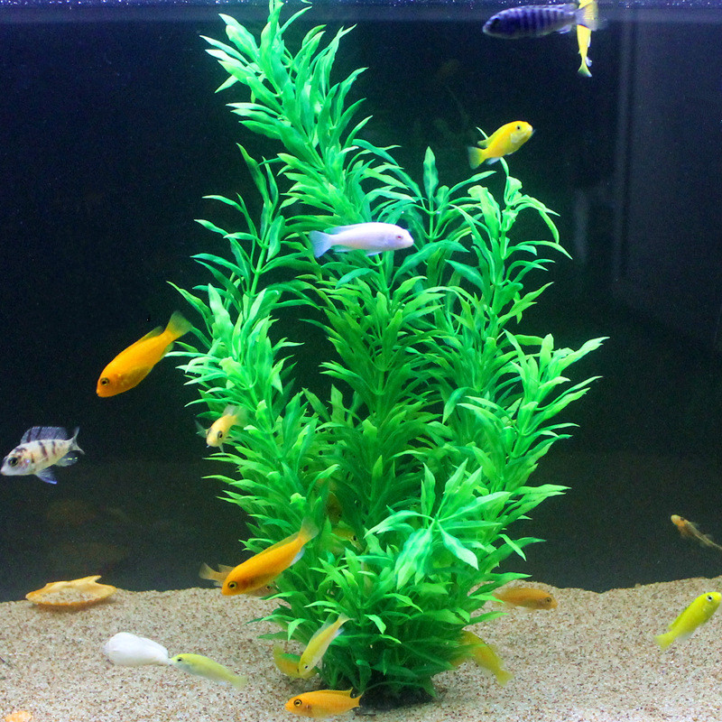 نباتات اصطناعية نادرة لأحواض ا - مراجعة Aquarium Plant Display وسعره