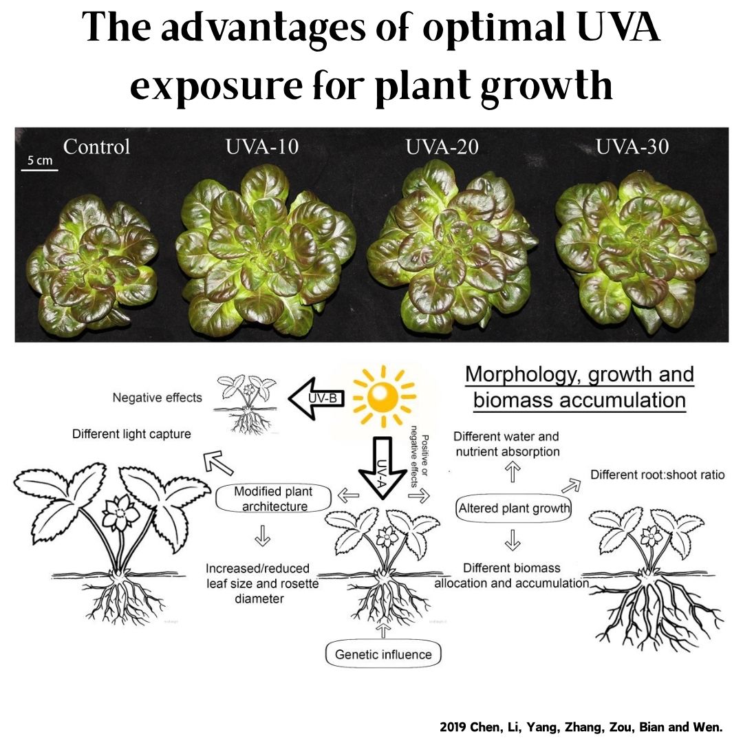 مصباح نمو النباتات المائية الذ - مراجعة Planted Aquarium Uv Light وسعره