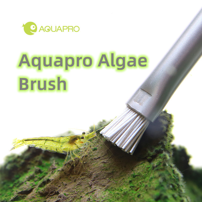 Aquapro الطحالب فرشاة خزان حوض - مراجعة Planted Aquarium Ada وسعره