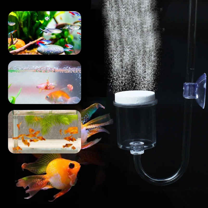 ناشر CO2 لحوض السمك ، خزان زجا - مراجعة Planted Aquarium Co2 وسعره