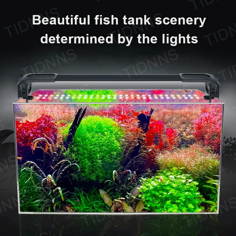 حوض السمك ضوء Led النبات تنمو  - مراجعة Aquarium Plant Display وسعره