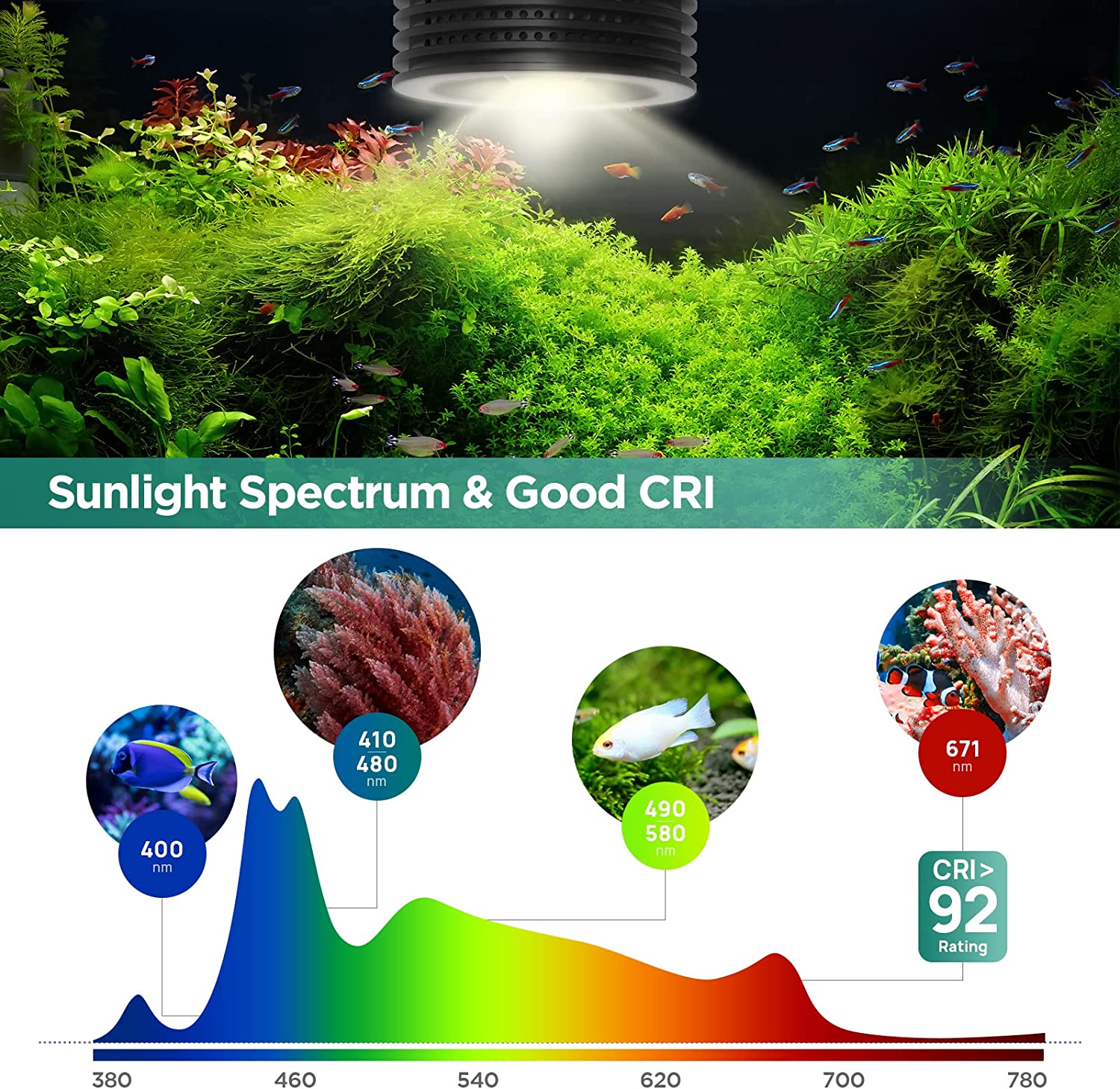 Lominie Asta 20 المياه العذبة  - مراجعة Planted Aquarium Uv Light وسعره