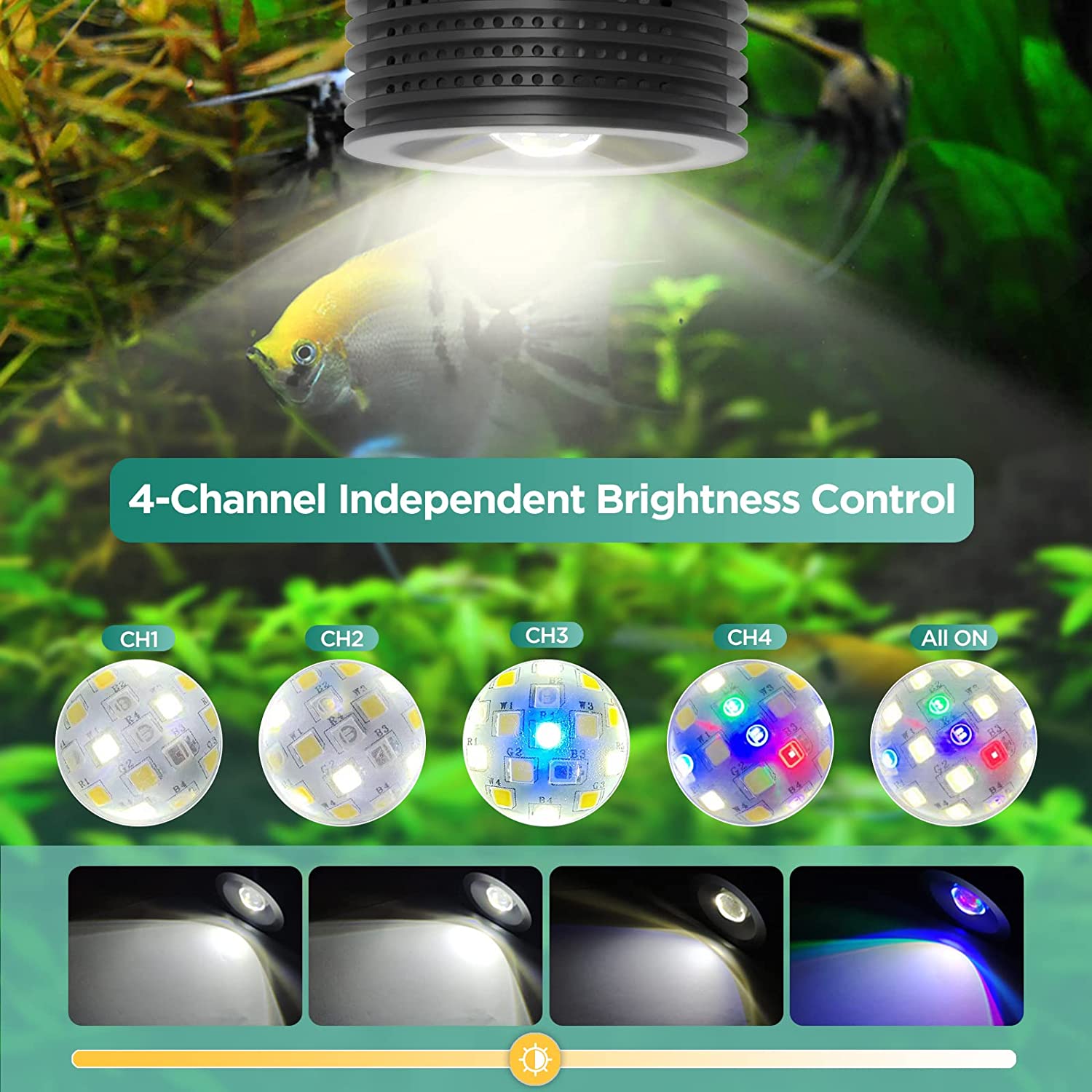 Lominie Asta 20 المياه العذبة  - مراجعة Planted Aquarium Uv Light وسعره